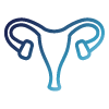 ico-Gynaecology Gynaecology